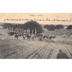 Rare collectable postcards of Madagascar. Vintage Postcards of Madagascar