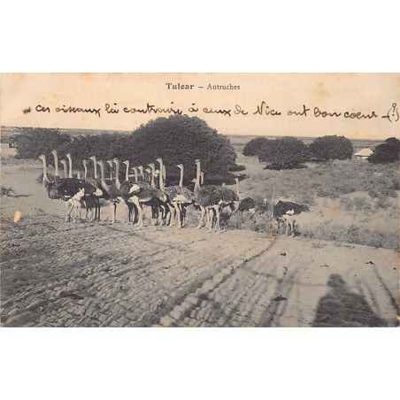 Rare collectable postcards of Madagascar. Vintage Postcards of Madagascar