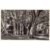 Rare collectable postcards of Madagascar. Vintage Postcards of Madagascar
