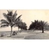 Rare collectable postcards of Madagascar. Vintage Postcards of Madagascar