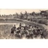 Rare collectable postcards of Madagascar. Vintage Postcards of Madagascar