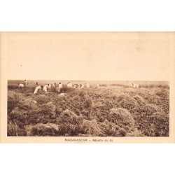Rare collectable postcards of Madagascar. Vintage Postcards of Madagascar