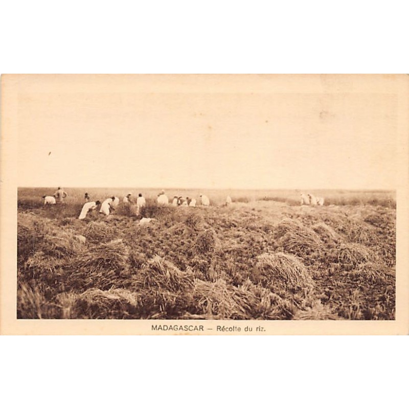 Rare collectable postcards of Madagascar. Vintage Postcards of Madagascar
