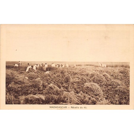 Rare collectable postcards of Madagascar. Vintage Postcards of Madagascar