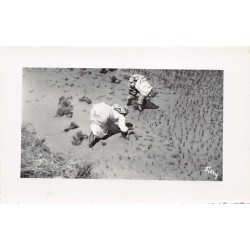 Rare collectable postcards of Madagascar. Vintage Postcards of Madagascar