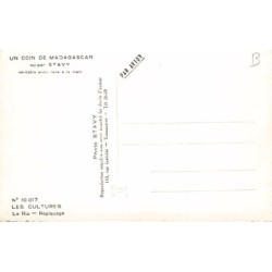 Rare collectable postcards of Madagascar. Vintage Postcards of Madagascar
