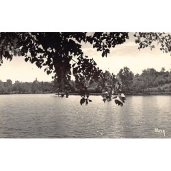 Rare collectable postcards of Madagascar. Vintage Postcards of Madagascar