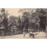 Rare collectable postcards of Madagascar. Vintage Postcards of Madagascar