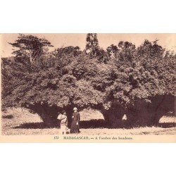 Rare collectable postcards of Madagascar. Vintage Postcards of Madagascar