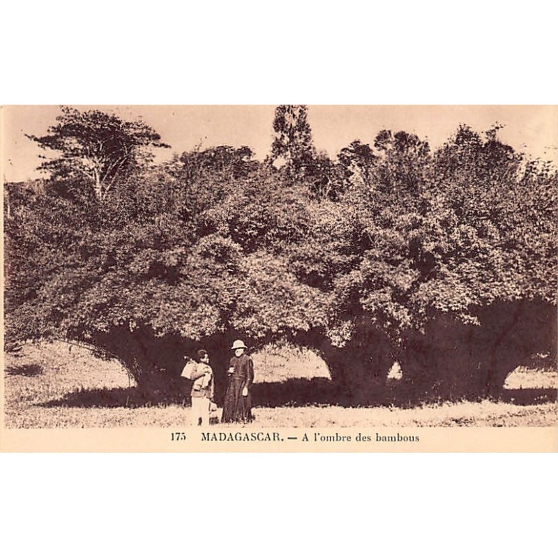 Rare collectable postcards of Madagascar. Vintage Postcards of Madagascar