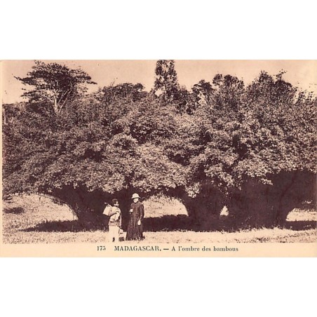 Rare collectable postcards of Madagascar. Vintage Postcards of Madagascar