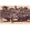 Rare collectable postcards of Madagascar. Vintage Postcards of Madagascar
