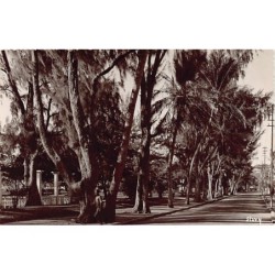 Rare collectable postcards of Madagascar. Vintage Postcards of Madagascar