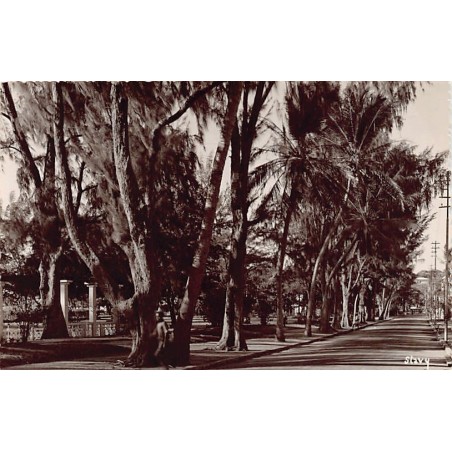 Rare collectable postcards of Madagascar. Vintage Postcards of Madagascar