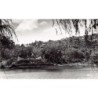 Rare collectable postcards of Madagascar. Vintage Postcards of Madagascar