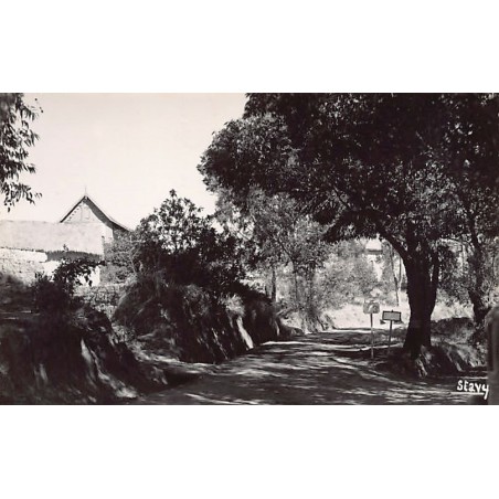 Rare collectable postcards of Madagascar. Vintage Postcards of Madagascar