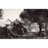 Rare collectable postcards of Madagascar. Vintage Postcards of Madagascar