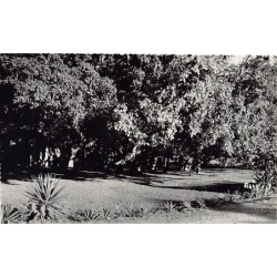 Rare collectable postcards of Madagascar. Vintage Postcards of Madagascar