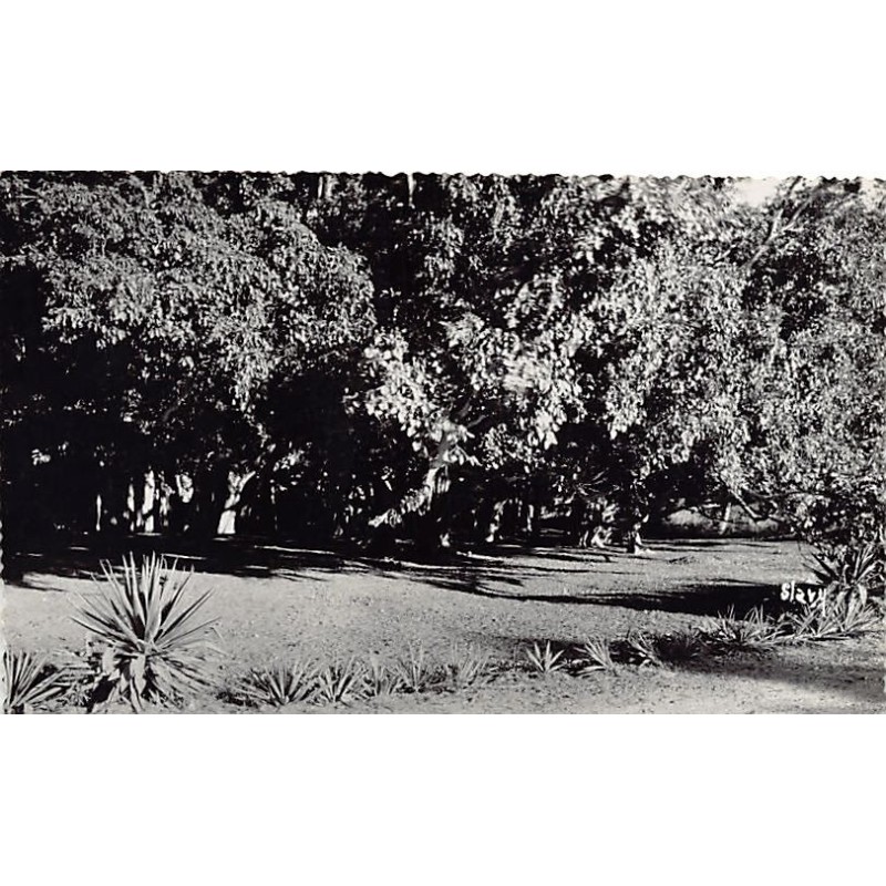 Rare collectable postcards of Madagascar. Vintage Postcards of Madagascar