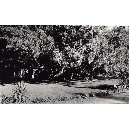 Rare collectable postcards of Madagascar. Vintage Postcards of Madagascar