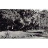 Rare collectable postcards of Madagascar. Vintage Postcards of Madagascar