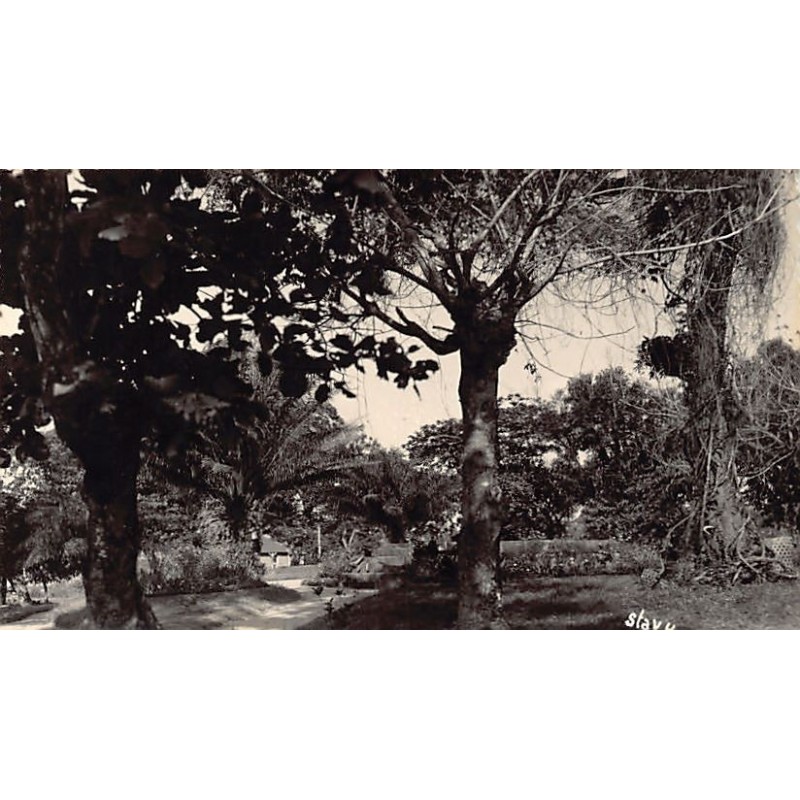 Rare collectable postcards of Madagascar. Vintage Postcards of Madagascar