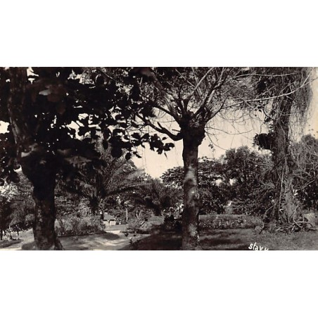 Rare collectable postcards of Madagascar. Vintage Postcards of Madagascar