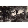Rare collectable postcards of Madagascar. Vintage Postcards of Madagascar