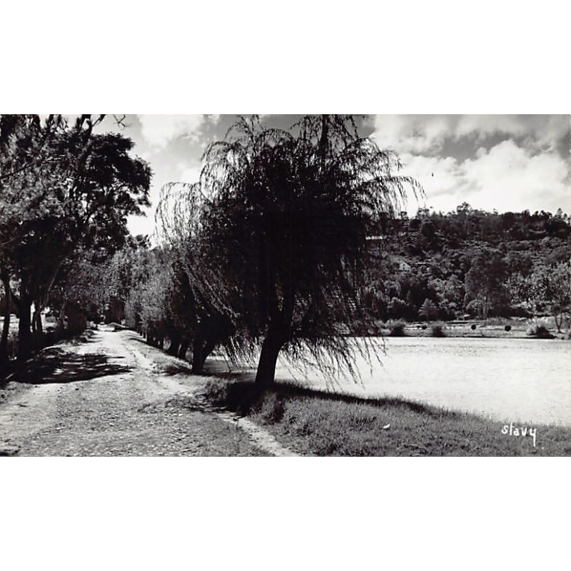Rare collectable postcards of Madagascar. Vintage Postcards of Madagascar