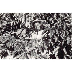 Rare collectable postcards of Madagascar. Vintage Postcards of Madagascar