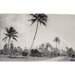 Rare collectable postcards of Madagascar. Vintage Postcards of Madagascar