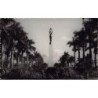 Rare collectable postcards of Madagascar. Vintage Postcards of Madagascar