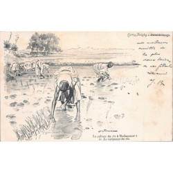 Rare collectable postcards of Madagascar. Vintage Postcards of Madagascar