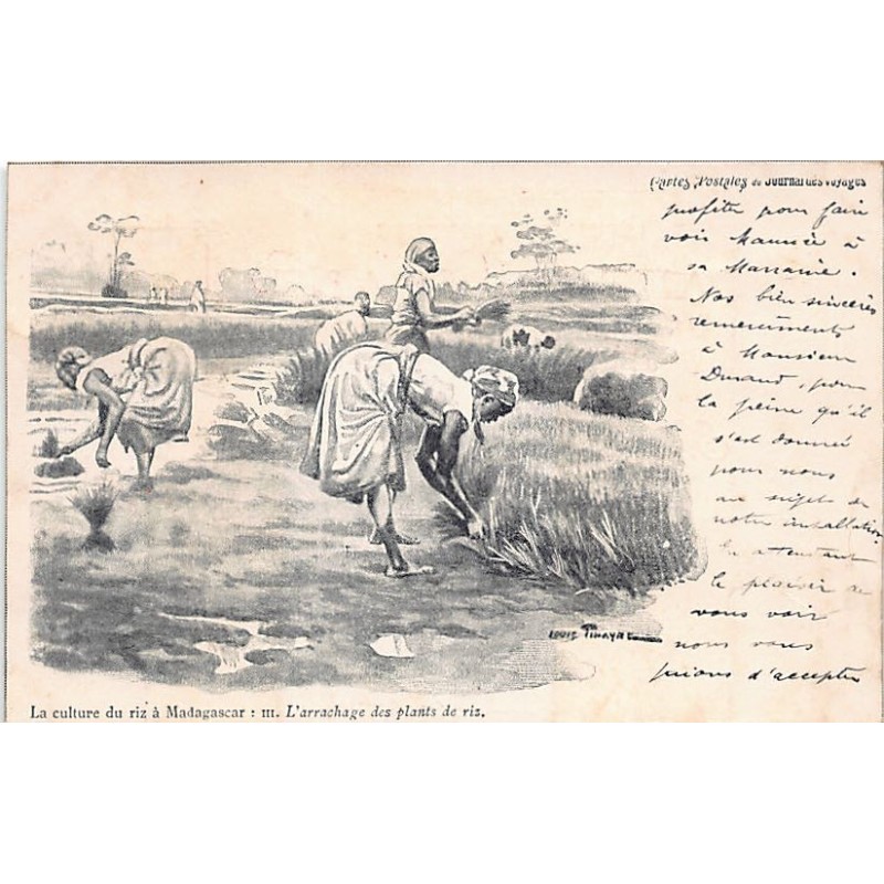 Rare collectable postcards of Madagascar. Vintage Postcards of Madagascar