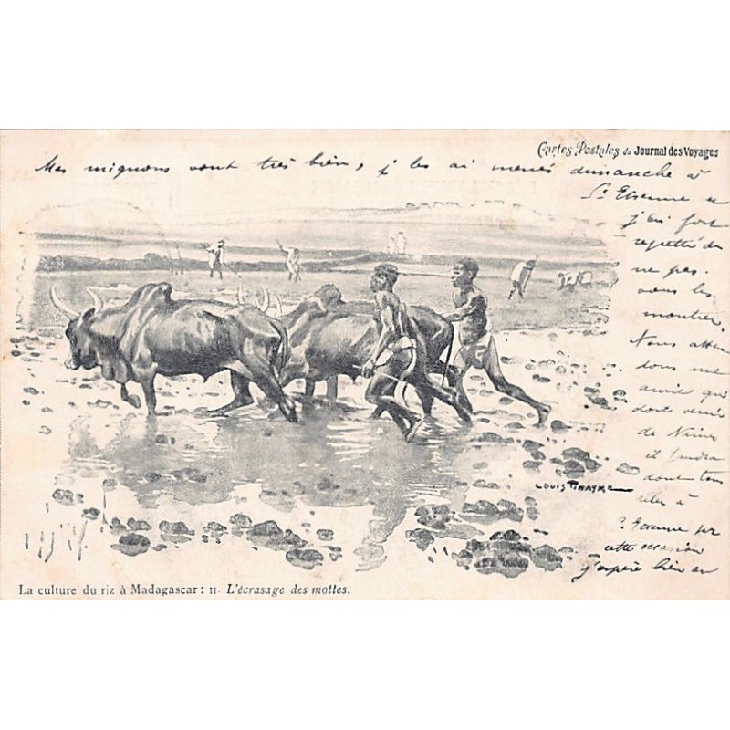 Rare collectable postcards of Madagascar. Vintage Postcards of Madagascar