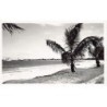 Rare collectable postcards of Madagascar. Vintage Postcards of Madagascar