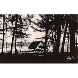 Rare collectable postcards of Madagascar. Vintage Postcards of Madagascar