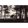 Rare collectable postcards of Madagascar. Vintage Postcards of Madagascar