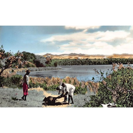 Rare collectable postcards of Madagascar. Vintage Postcards of Madagascar