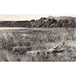 Rare collectable postcards of Madagascar. Vintage Postcards of Madagascar