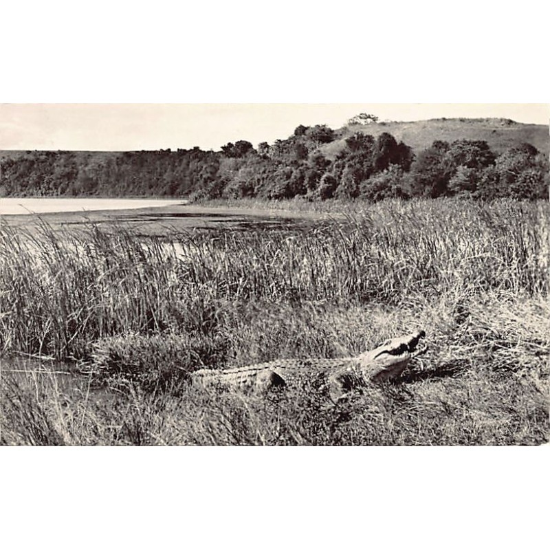 Rare collectable postcards of Madagascar. Vintage Postcards of Madagascar
