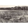 Rare collectable postcards of Madagascar. Vintage Postcards of Madagascar