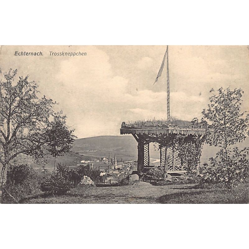 Rare collectable postcards of LUXEMBOURG. Vintage Postcards of LUXEMBOURG