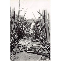 Rare collectable postcards of Madagascar. Vintage Postcards of Madagascar