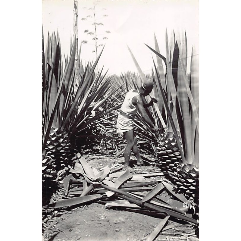 Rare collectable postcards of Madagascar. Vintage Postcards of Madagascar