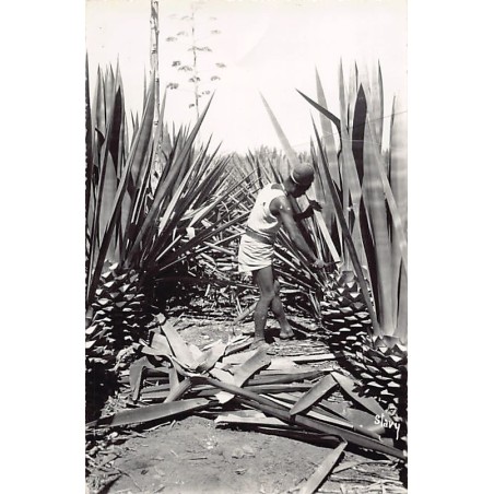 Rare collectable postcards of Madagascar. Vintage Postcards of Madagascar