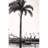 Rare collectable postcards of Madagascar. Vintage Postcards of Madagascar