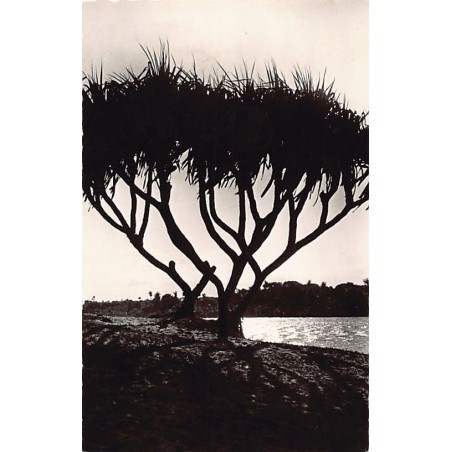 Rare collectable postcards of Madagascar. Vintage Postcards of Madagascar