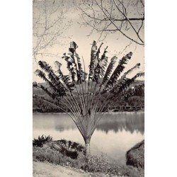 Rare collectable postcards of Madagascar. Vintage Postcards of Madagascar
