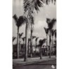 Rare collectable postcards of Madagascar. Vintage Postcards of Madagascar
